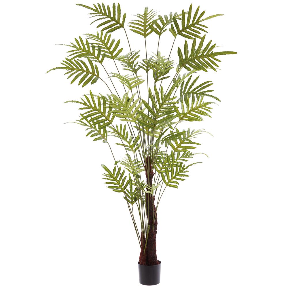 java palm plant 8' Java Fern Artificial Tree w/Plastic Pot -Green